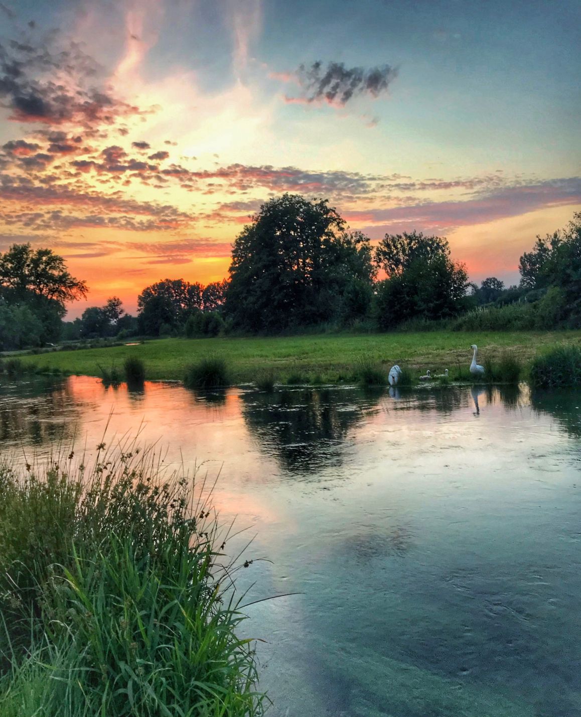 An der renaturierten Heder | Wilma Nolte